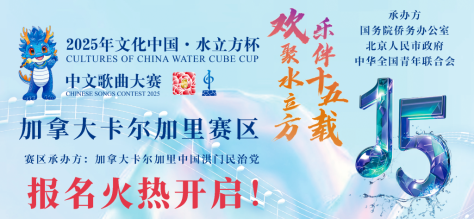 2025水立方中文歌曲报名海报bannere